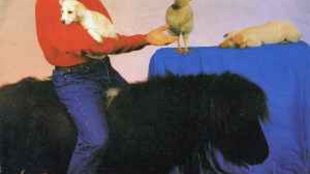 Francesco Salvi - Esatto (Extended Mix)